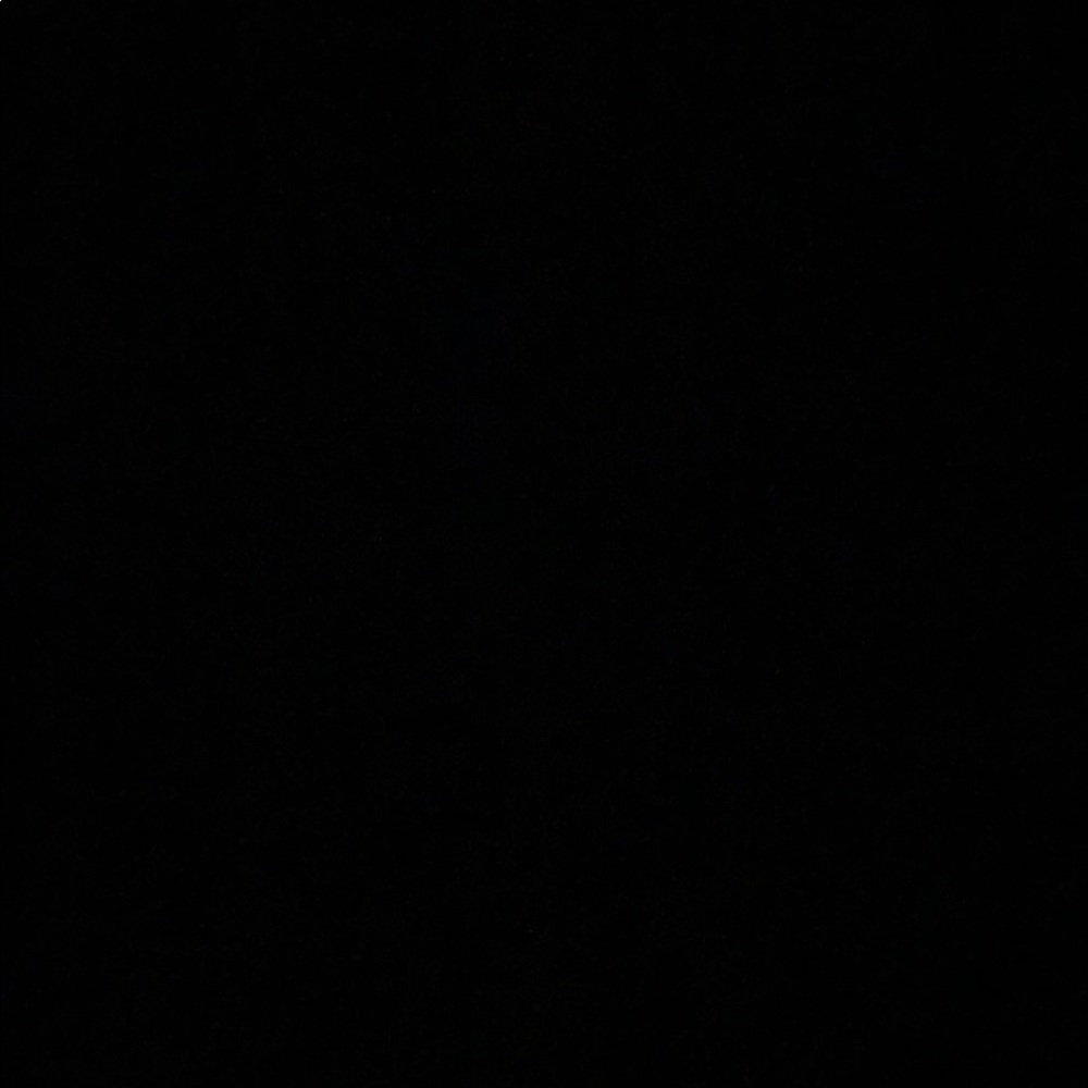 Meet your Posher, Brady